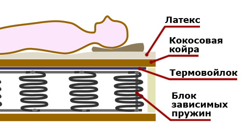Схема конструкции модели основанной на блоке зависимых пружин с использованием слоёв койры, латекса и термовойлока