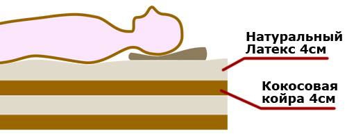 Схема конструкции основанной на беспружинных технологиях: использование кокосовой койры и латекса