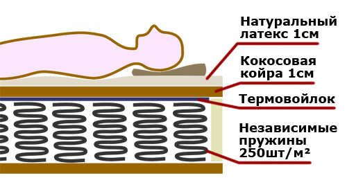 Схема конструкции матраса на независимых пружинах, со слоями кокосовой койры и тонким слоем натурального латекса