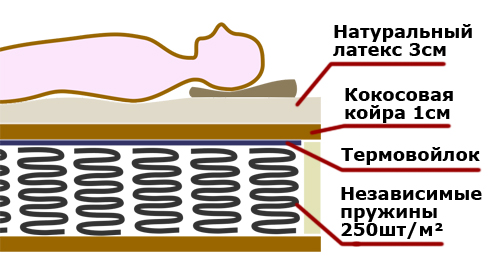 Схема конструкции
        матраса на независимых пружинах со слоем койры и латекса на одной из сторон