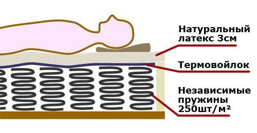 Схема конструкции матраса на независимых пружинах со слоем латекса в верхнем
                                  слое