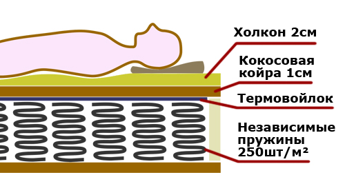 Схема жёсткого матраса со слоем койры и холкона